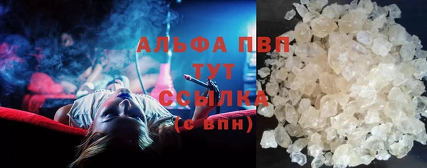 ПСИЛОЦИБИНОВЫЕ ГРИБЫ Вяземский