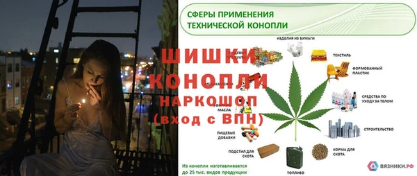 сатива Гусь-Хрустальный