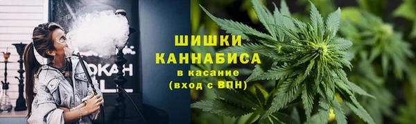 ГАЛЛЮЦИНОГЕННЫЕ ГРИБЫ Вязники
