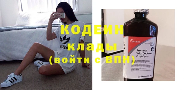 ПСИЛОЦИБИНОВЫЕ ГРИБЫ Вяземский