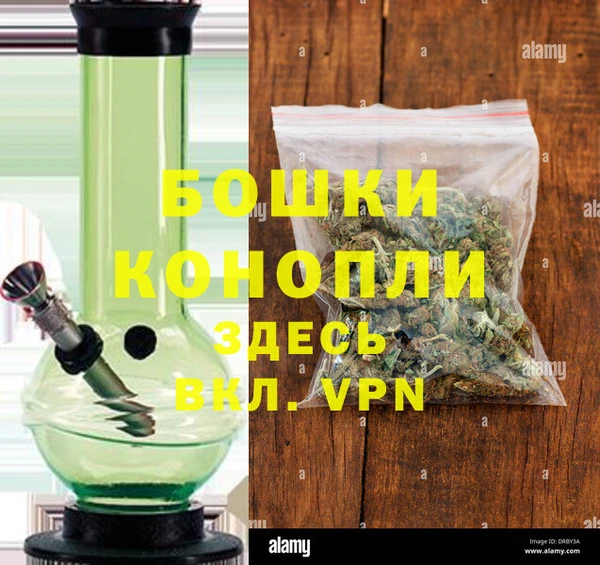 ПСИЛОЦИБИНОВЫЕ ГРИБЫ Вяземский