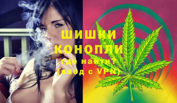 ПСИЛОЦИБИНОВЫЕ ГРИБЫ Вяземский