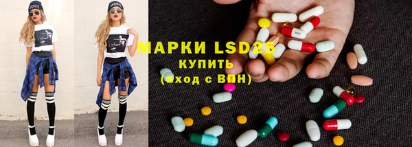 сатива Гусь-Хрустальный