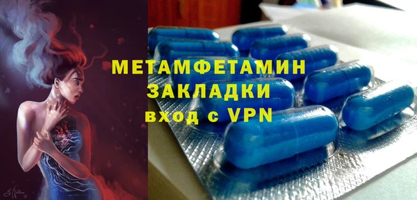 ПСИЛОЦИБИНОВЫЕ ГРИБЫ Вяземский