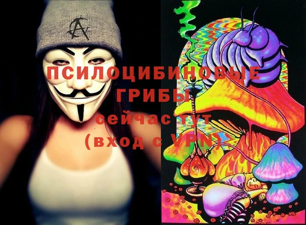 ГАЛЛЮЦИНОГЕННЫЕ ГРИБЫ Вязники